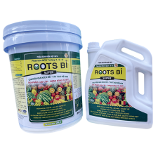 Roots Bỉ Can 20 Lít