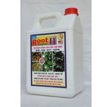 Root II - Can 5 Lít